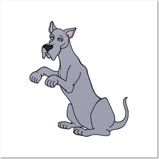 Gray Begging Great Dane Dog Posters and Art